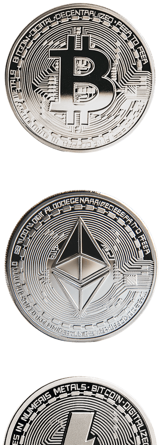 Investor going over Crypto Aurovex AI trading portfolio performance results